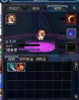 DNF宠物金毛球值多少钱