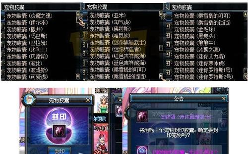 DNF宠物封印胶囊全解析,哪些宠物可以被封印?