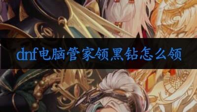dnf超核管家闪闪怎么添加