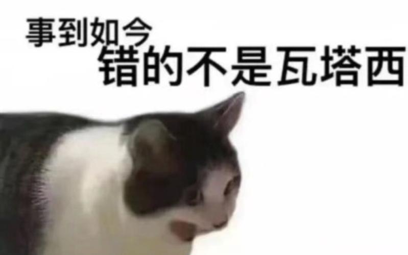 dnf童话套问题