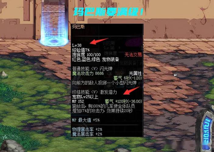 dnf可交易的宠物哪个好