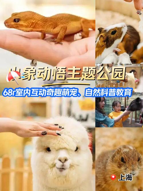 兰陵王妃女官职场升职记?独家秘籍助你速成高级女官!