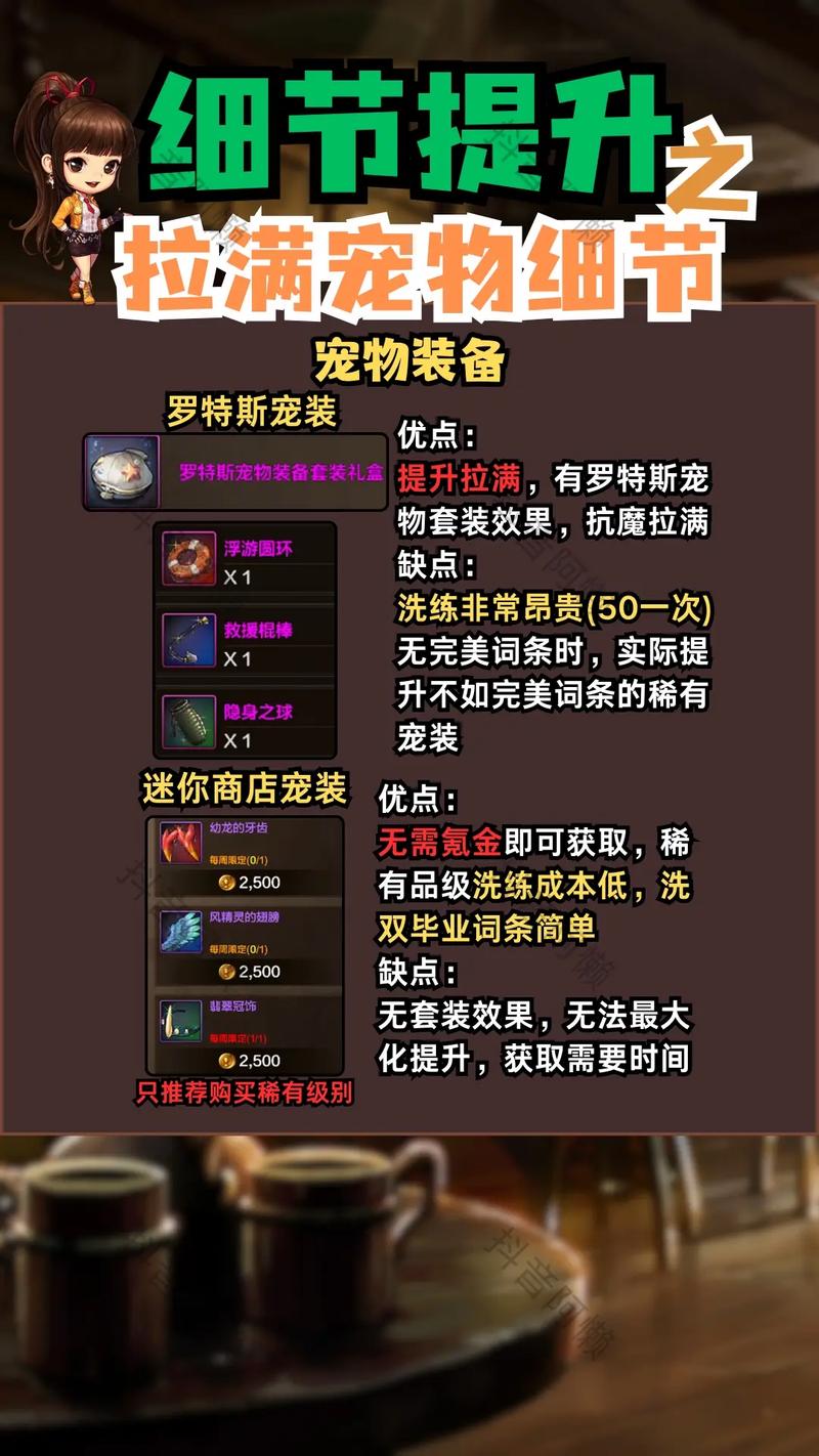 dnf宠物装备