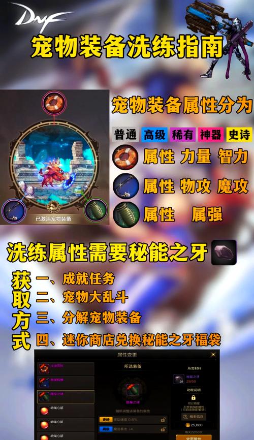 dnf宠物装备怎么获得宠物装备获得方法一览