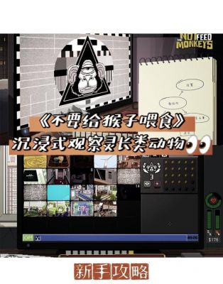 不要喂食猴子2099攻略