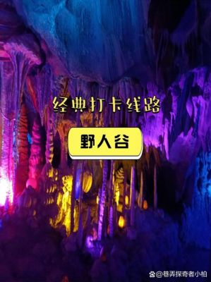有什么去哈密野人谷景区游玩的攻略?