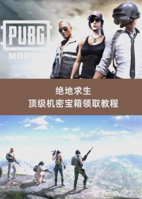 绝地求生端游国服:深度解析与玩家指南