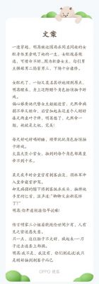 求系统攻略文