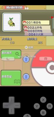 宠物小精灵白金中要学定点技能,碎片需满足什么条件?