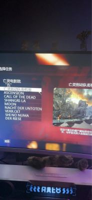 使命召唤7僵尸模式~~~