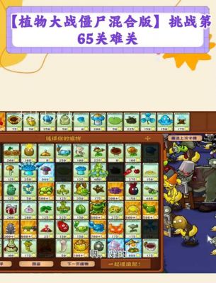 植物大战僵尸的“坚不可摧”怎么过关。。。