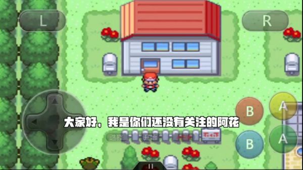 口袋妖怪永恒之炎苍蓝二周目...这个三之岛的洞是怎么回事?不是说捉黑白...