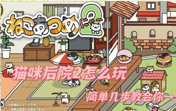 猫咪后院攻略新手攻略猫咪后院畅玩游戏