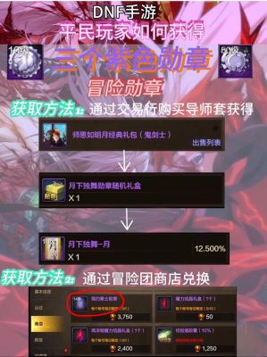 dnf永久勋章哪个好用_DNF手游