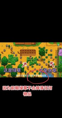 星露谷物语前期发展攻略