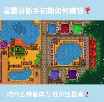 星露谷物语新手生存技巧攻略