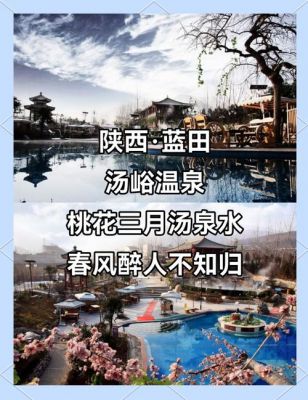 花咲workspring的攻略