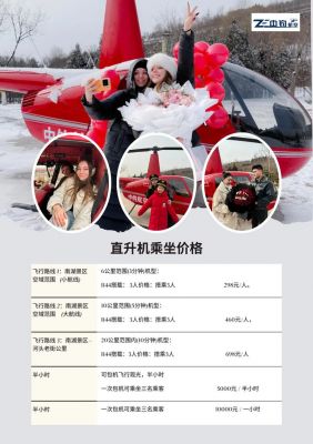 一台模拟飞行舱,造价是多少