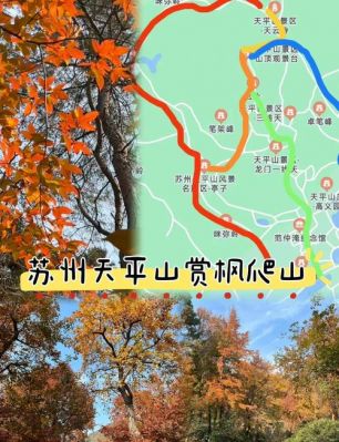 剑网三昆仑地图有什么宠物,昆仑花客刷新点介绍?