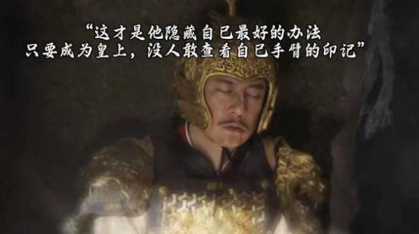 朝雪录假皇上的真实身份