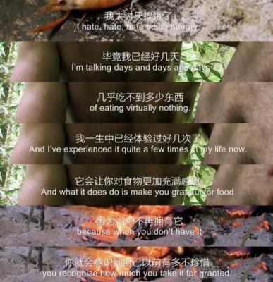 荒野求生一共出了多少集,多少季了??